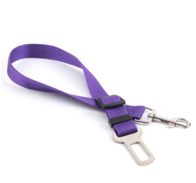 Durable Fixed Strap Dog Leash: Reliable Pet Companion