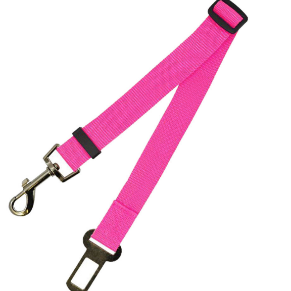 Durable Fixed Strap Dog Leash: Reliable Pet Companion