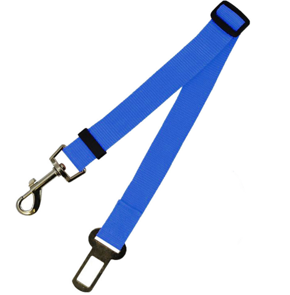 Durable Fixed Strap Dog Leash: Reliable Pet Companion