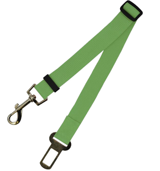 Durable Fixed Strap Dog Leash: Reliable Pet Companion