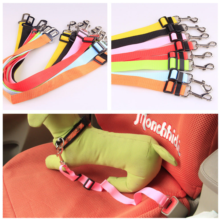 Durable Fixed Strap Dog Leash: Reliable Pet Companion