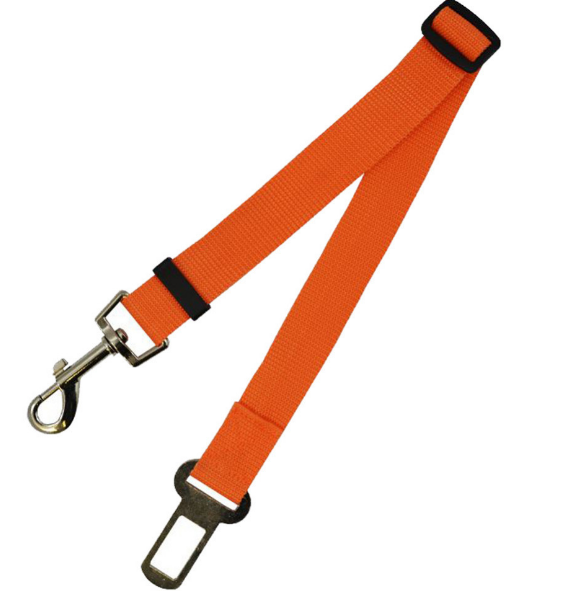 Durable Fixed Strap Dog Leash: Reliable Pet Companion