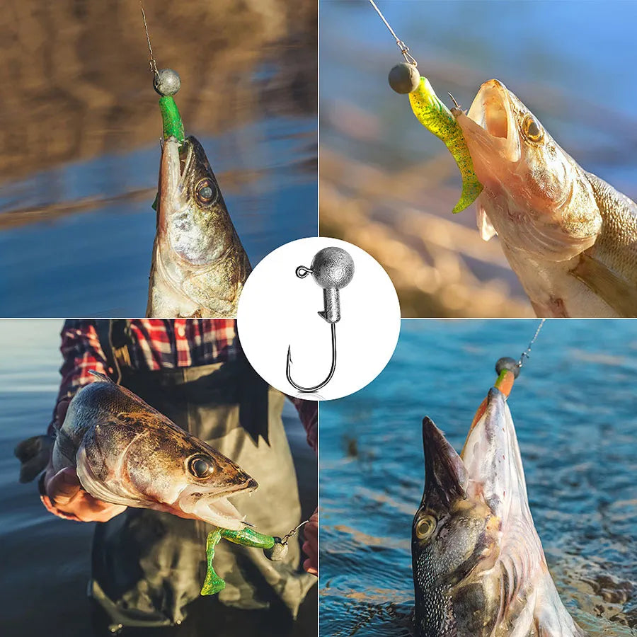 Versatile Jig Head Fishing Hooks - Various Weights