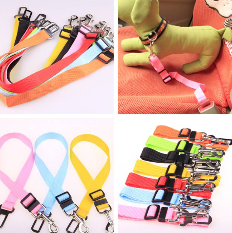 Durable Fixed Strap Dog Leash: Reliable Pet Companion